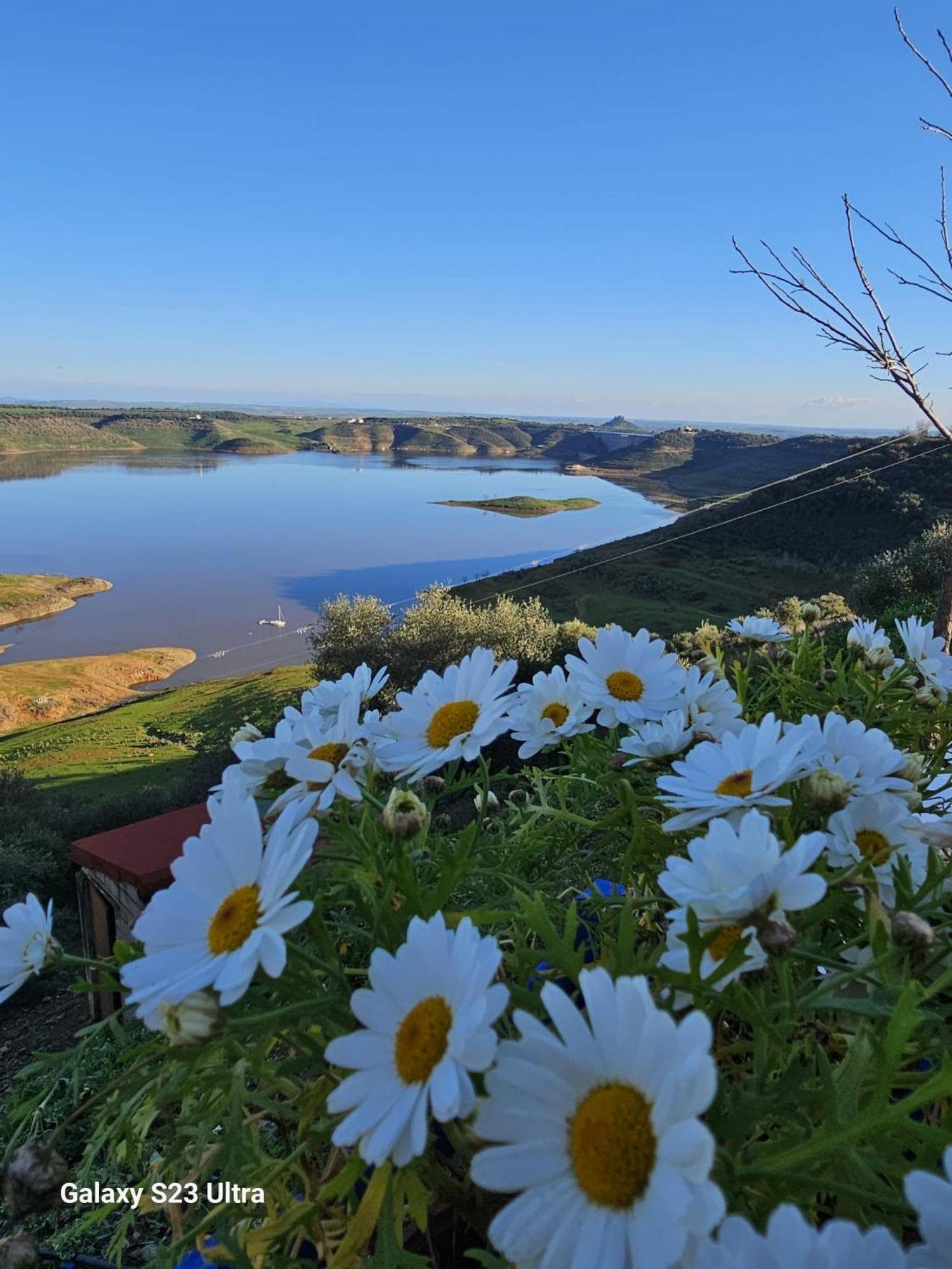 Alojamiento Rural Mi Frasca Almodovar del Rio Exterior foto